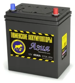 Аккумулятор Тюмень АЗИЯ 40 А/ч