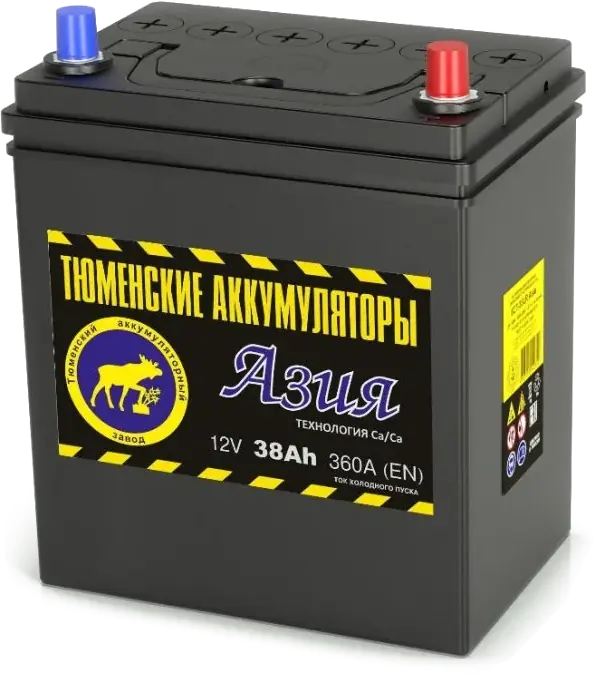 Аккумулятор Тюмень АЗИЯ 38 А/ч