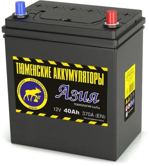 Аккумулятор Тюмень АЗИЯ 40 А/ч