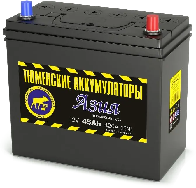 Аккумулятор Тюмень АЗИЯ 45 А/ч