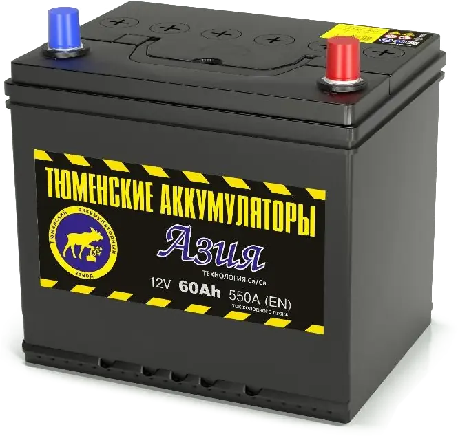 Аккумулятор Тюмень АЗИЯ 60 А/ч