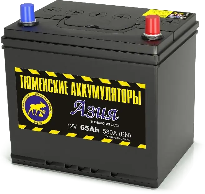 Аккумулятор Тюмень АЗИЯ 65 А/ч