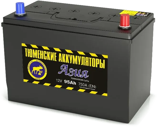 Аккумулятор Тюмень АЗИЯ 95 А/ч