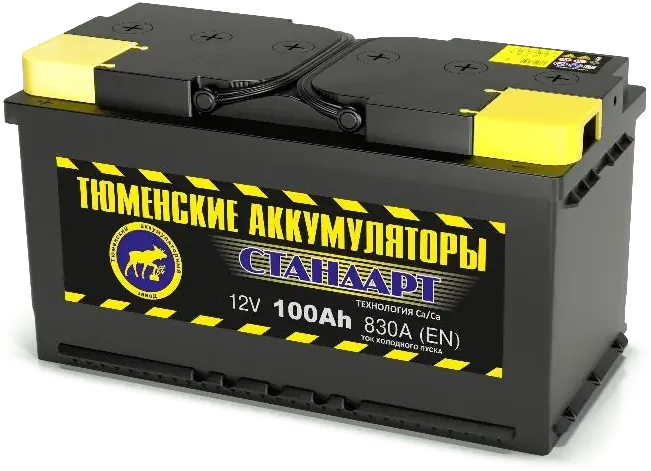 Аккумулятор Тюмень STANDARD 100 А/ч