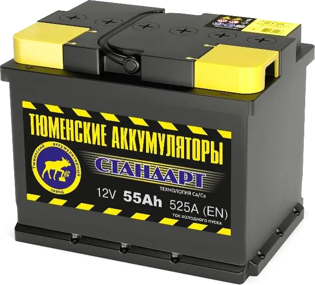 Аккумулятор Тюмень STANDARD 55 А/ч